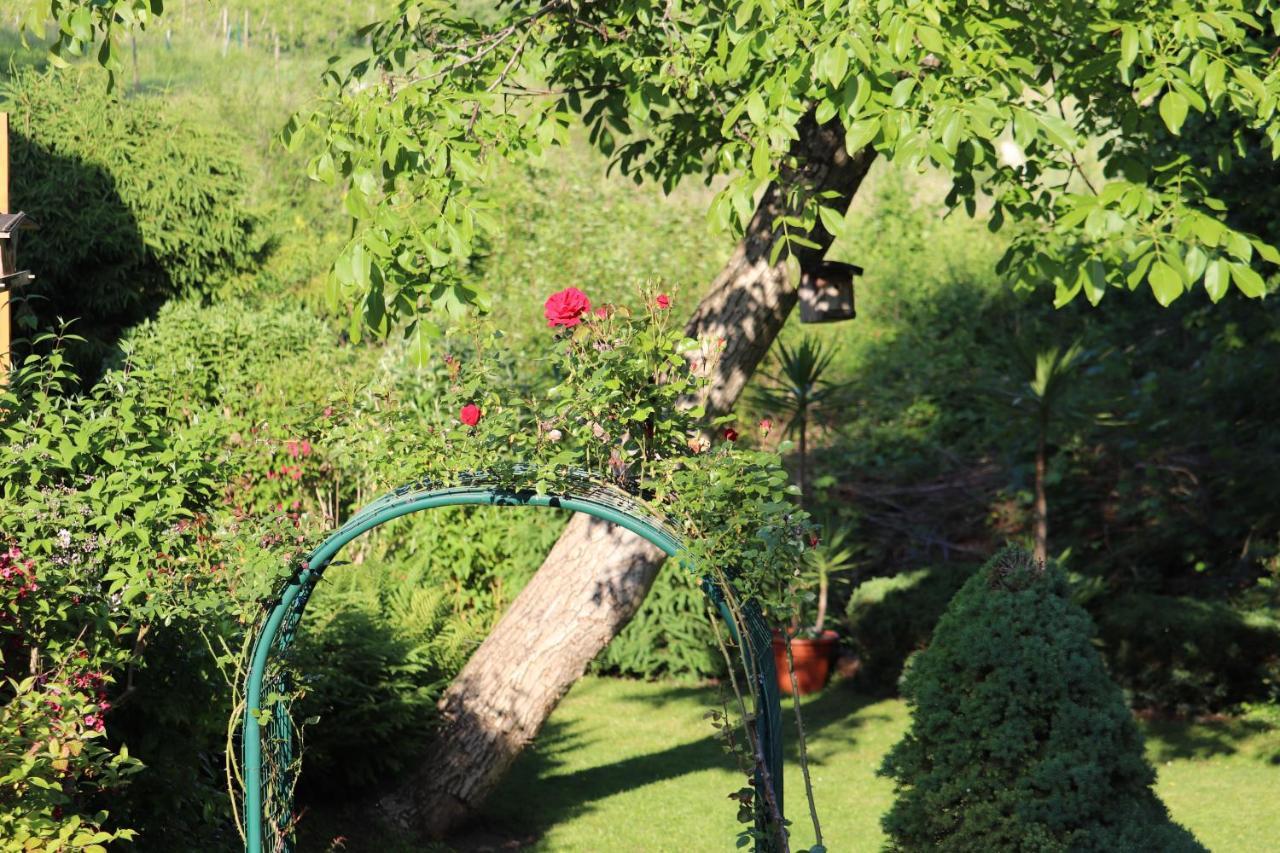 Wohnung #5 Mit Balkon - Zentrale Dennoch Ruhige Lage Mit Terrasse - Stadtbus Vor Der Tuer! Ліндау Екстер'єр фото
